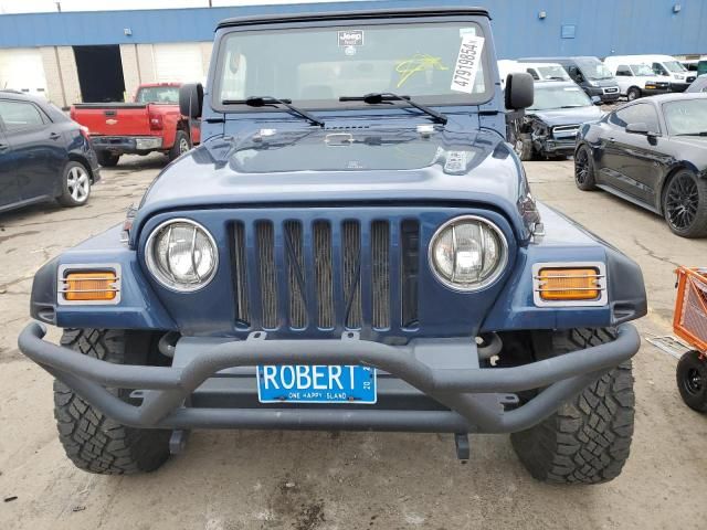 2003 Jeep Wrangler / TJ SE