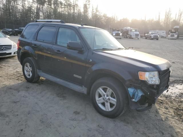 2008 Ford Escape HEV