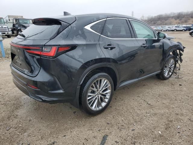 2022 Lexus NX 350