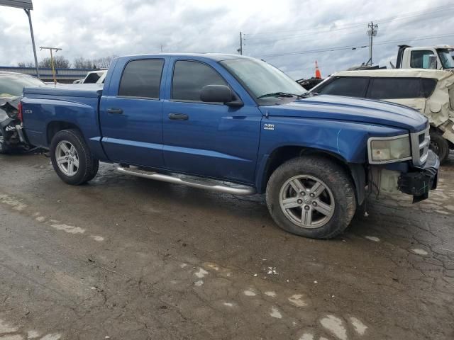 2010 Dodge Dakota SXT