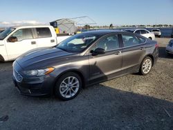 Salvage cars for sale at Antelope, CA auction: 2019 Ford Fusion SE