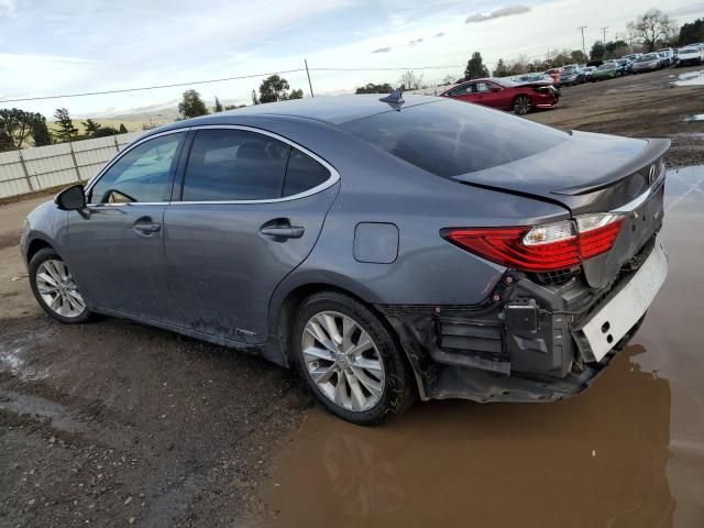 2014 Lexus ES 300H