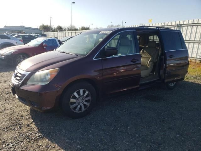 2008 Honda Odyssey EXL