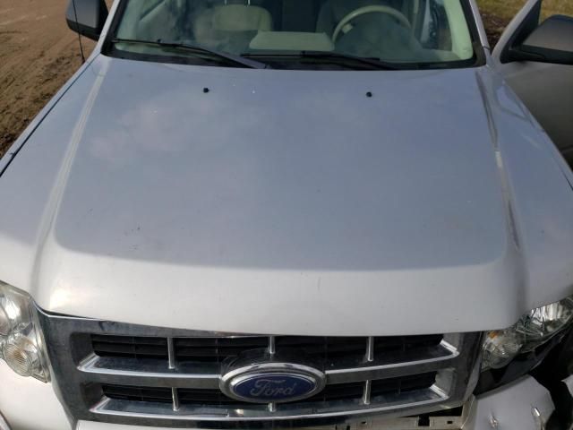 2008 Ford Escape XLT