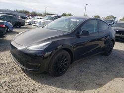 Salvage cars for sale from Copart Sacramento, CA: 2022 Tesla Model Y
