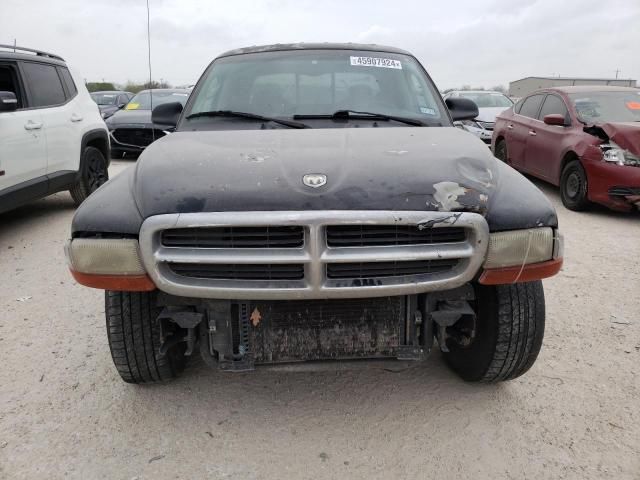 2001 Dodge Dakota Quattro