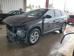 Salvage cars for sale at Riverview, FL auction: 2024 Hyundai Tucson SE