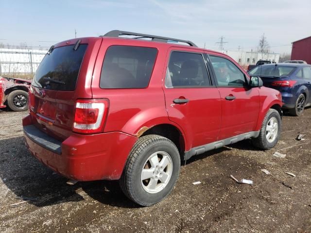 2010 Ford Escape XLT