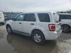 2011 Ford Escape XLS