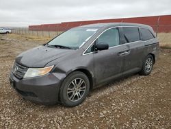 Honda salvage cars for sale: 2011 Honda Odyssey EXL