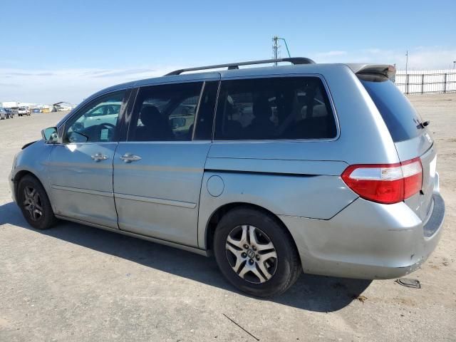 2005 Honda Odyssey EX