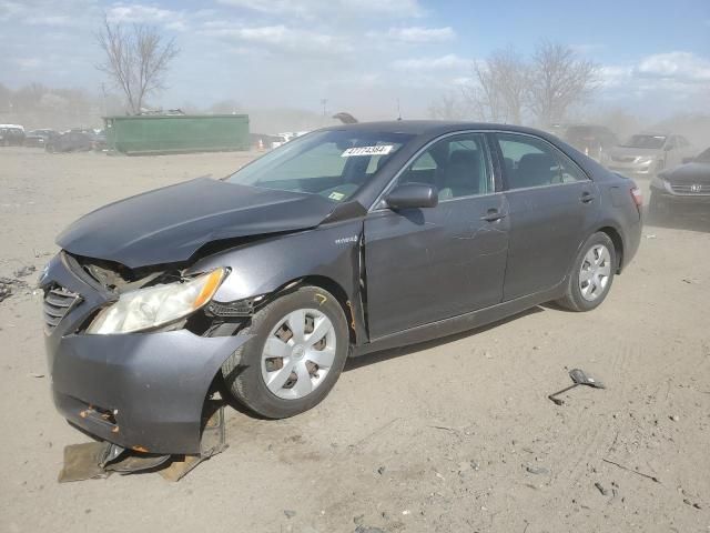 2009 Toyota Camry Hybrid