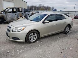 Salvage cars for sale at Lawrenceburg, KY auction: 2013 Chevrolet Malibu 1LT