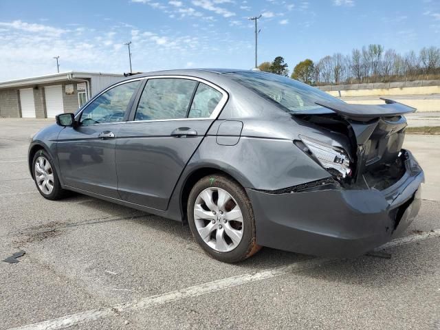 2010 Honda Accord EXL