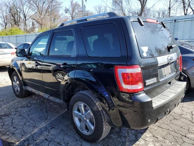 2010 Ford Escape Limited