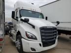 2024 Freightliner Cascadia 126