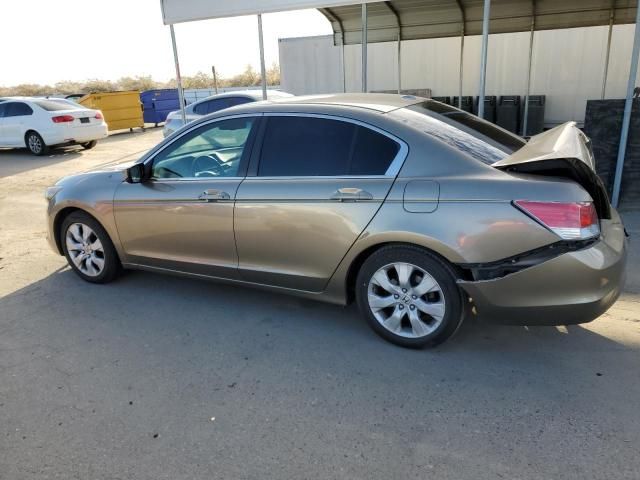 2010 Honda Accord EXL