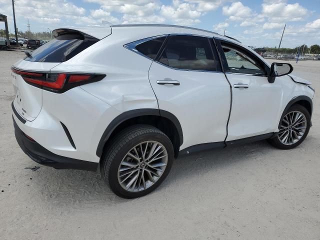 2022 Lexus NX 350H