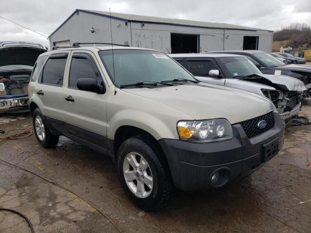 2005 Ford Escape XLT