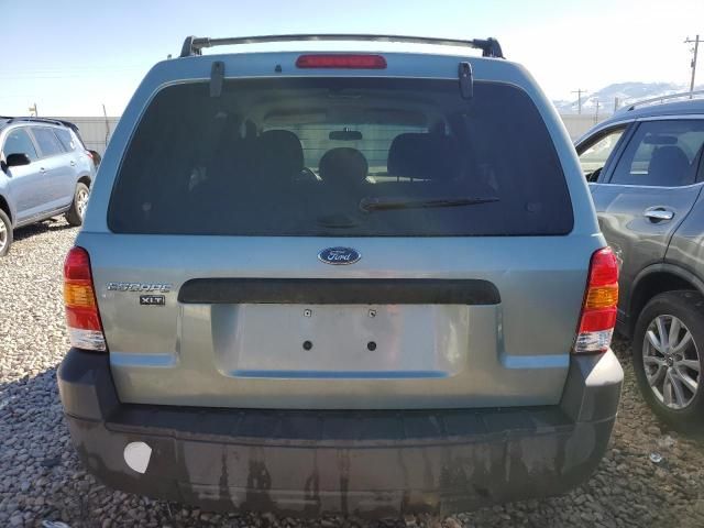 2005 Ford Escape XLT