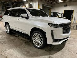 Salvage cars for sale at Elgin, IL auction: 2023 Cadillac Escalade Luxury