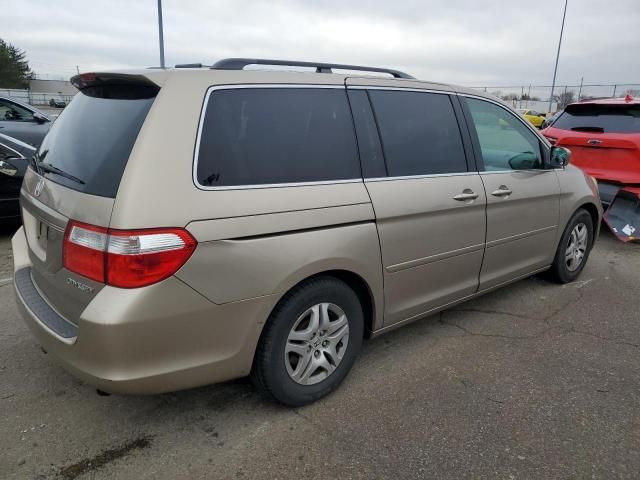 2005 Honda Odyssey EX