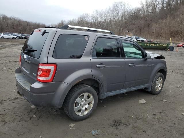 2011 Ford Escape Limited