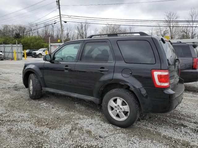 2012 Ford Escape XLT