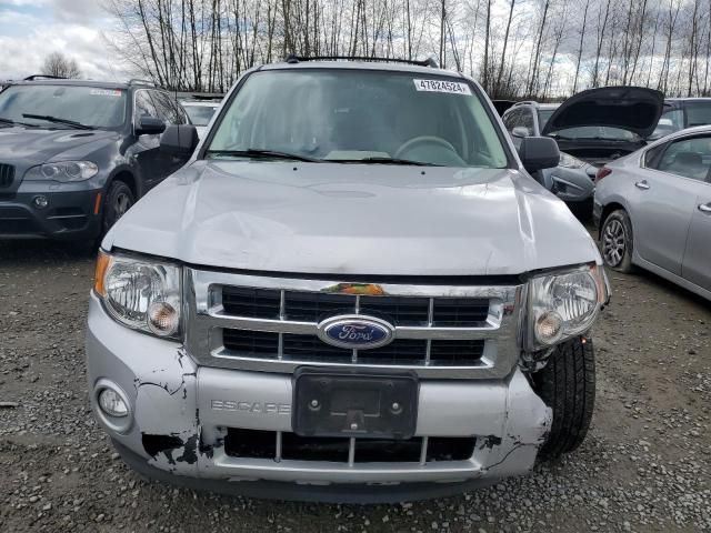 2011 Ford Escape XLT