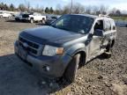 2008 Ford Escape Limited