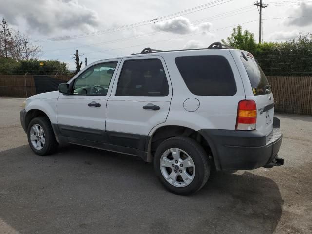 2007 Ford Escape XLT