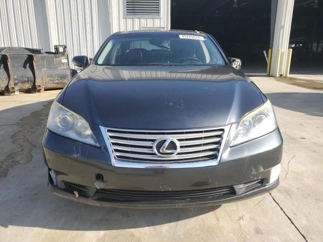 2010 Lexus ES 350