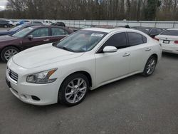 Salvage cars for sale from Copart Glassboro, NJ: 2014 Nissan Maxima S