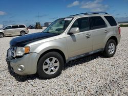 Salvage cars for sale from Copart Temple, TX: 2011 Ford Escape Limited