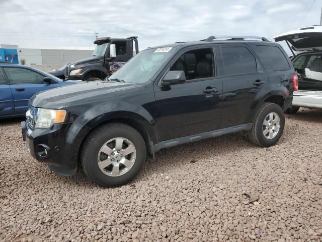 2012 Ford Escape Limited