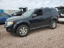 Ford Escape Limited salvage cars for sale: 2012 Ford Escape Limited