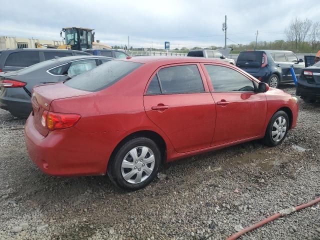 2010 Toyota Corolla Base