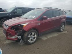 Ford Escape SE salvage cars for sale: 2013 Ford Escape SE