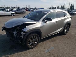 Salvage cars for sale from Copart Rancho Cucamonga, CA: 2018 Lexus NX 300 Base