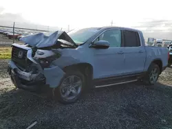 Salvage cars for sale from Copart Eugene, OR: 2023 Honda Ridgeline RTL