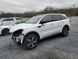 Salvage cars for sale from Copart Cartersville, GA: 2023 KIA Sorento S