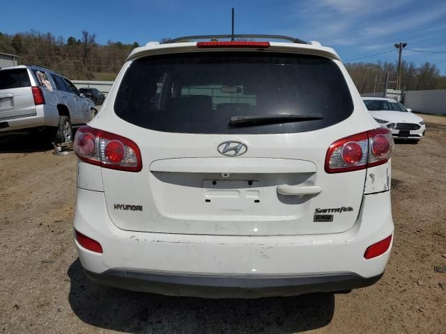 2010 Hyundai Santa FE SE