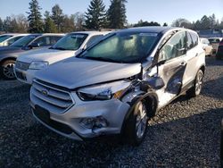 Ford Escape salvage cars for sale: 2019 Ford Escape SE