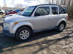 Salvage cars for sale from Copart Miami, FL: 2006 Honda Element EX