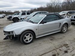 Ford salvage cars for sale: 2004 Ford Mustang