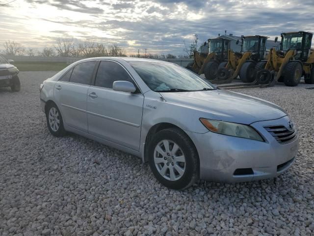 2009 Toyota Camry Hybrid