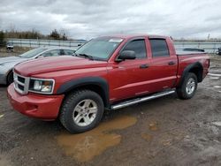 Salvage cars for sale from Copart Columbia Station, OH: 2010 Dodge Dakota SXT