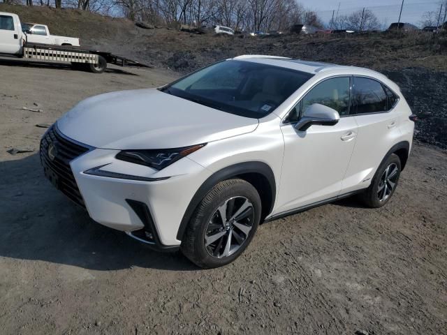 2020 Lexus NX 300H