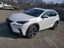 Lexus salvage cars for sale: 2020 Lexus NX 300H