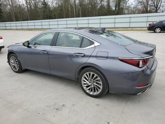 2019 Lexus ES 350